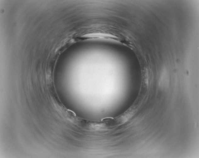 X0000052650283200507221849