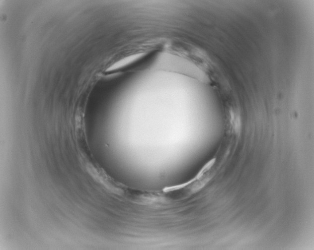 X0000052650284200507221849