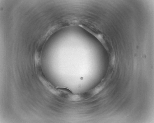 X0000052650287200507221849