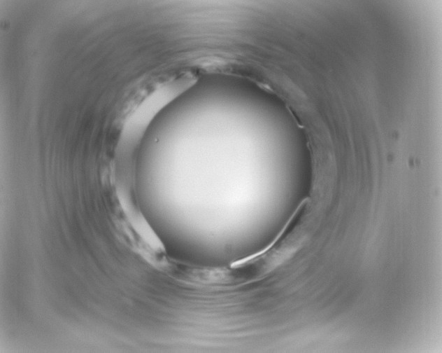 X0000052650288200507221849