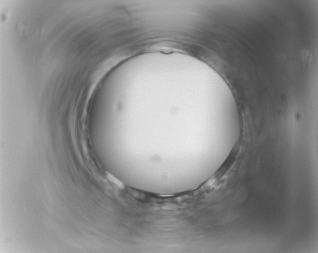 X0000052650289200507221848