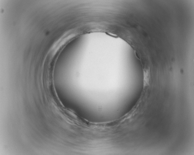 X0000052650291200507221848