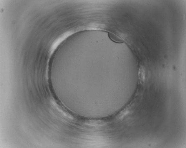 X0000052650292200507221848