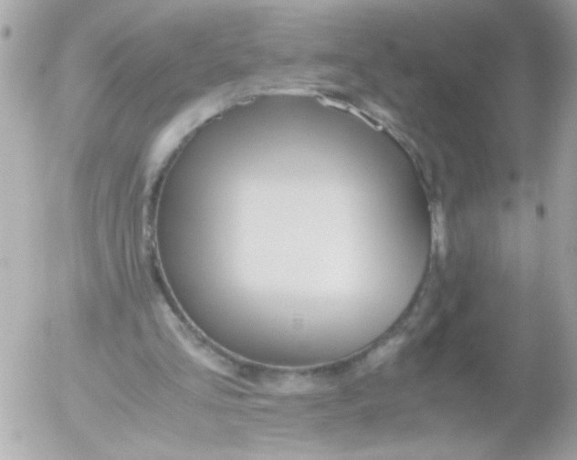 X0000052650293200507221848