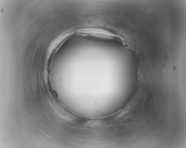 X0000052650294200507221848