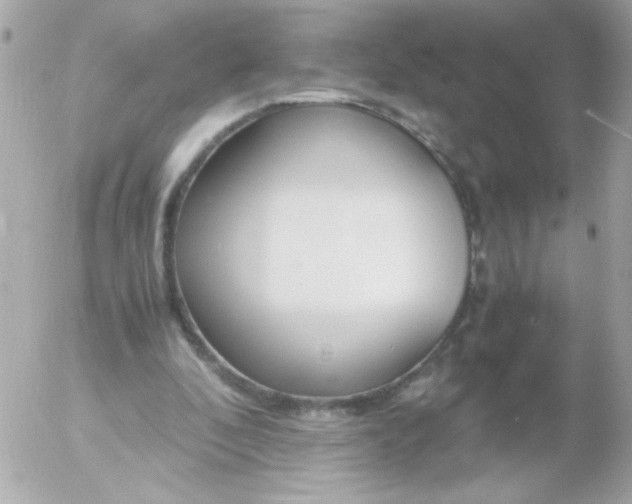 X0000052650296200507221848