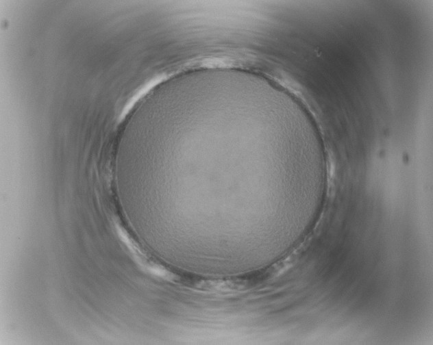 X0000052650297200507221848