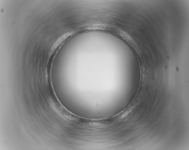 X0000052650298200507221848