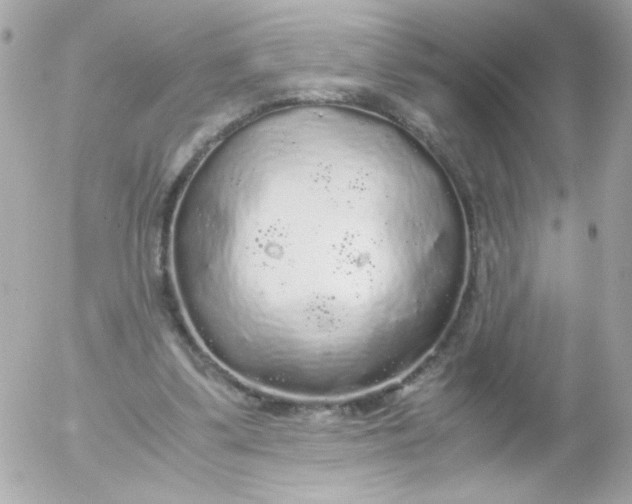 X0000052650299200507221848