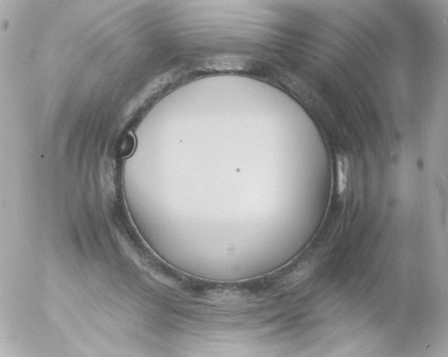 X0000052650300200507221848