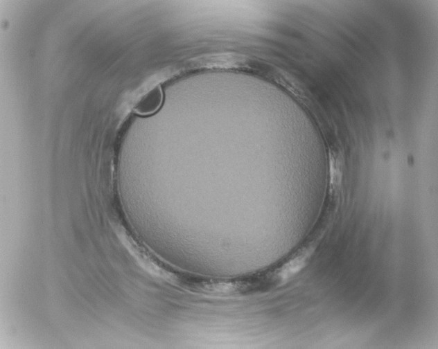 X0000052650301200507221848