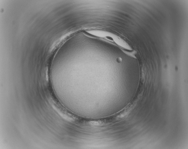 X0000052650302200507221848