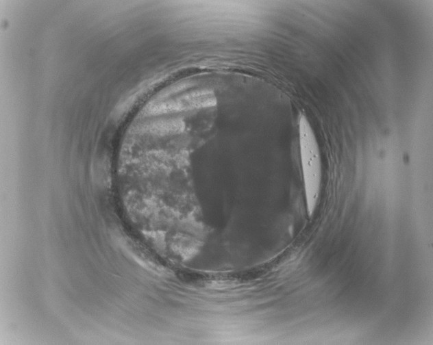 X0000052650303200507221848