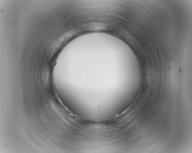 X0000052650304200507221848