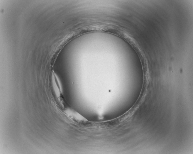 X0000052650305200507221848