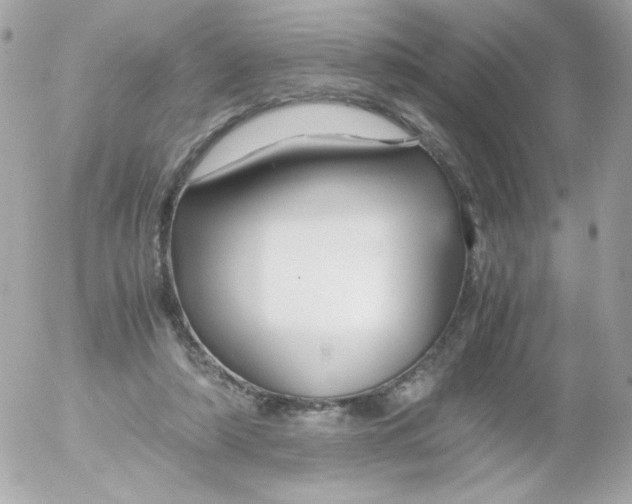 X0000052650306200507221848