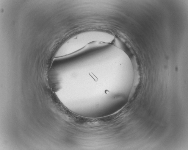 X0000052650307200507221848