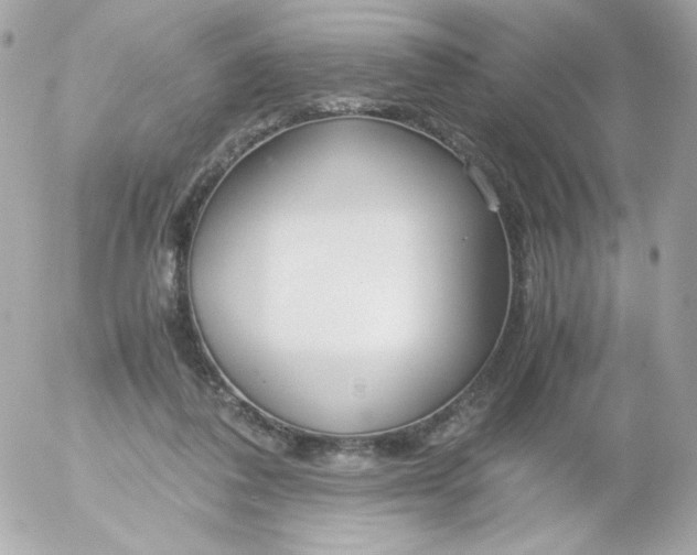 X0000052650308200507221848