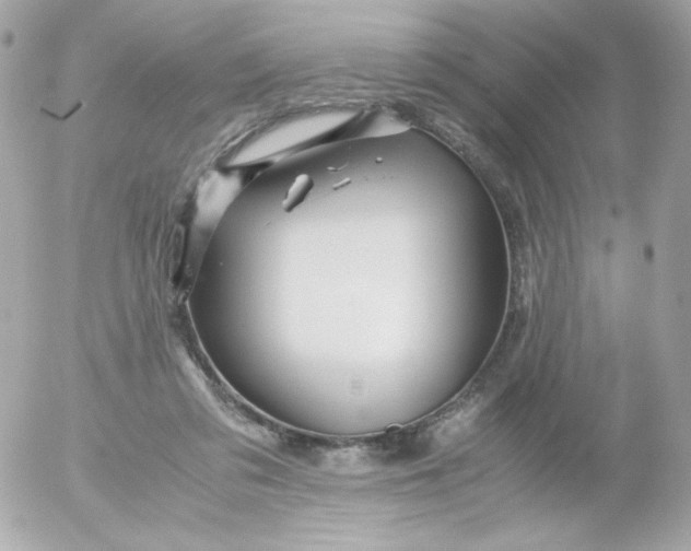 X0000052650309200507221848