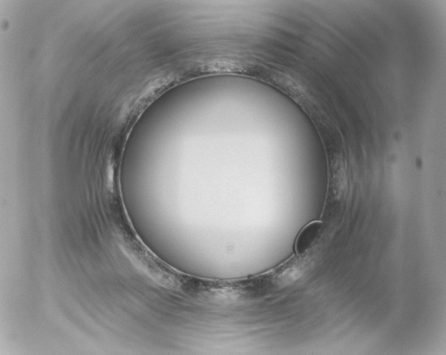 X0000052650310200507221848