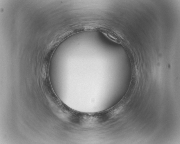 X0000052650311200507221848