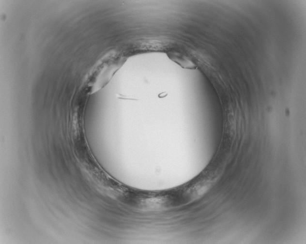 X0000052650312200507221848