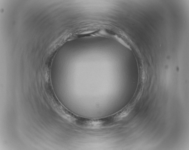 X0000052650313200507221848