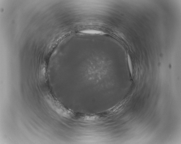 X0000052650314200507221848