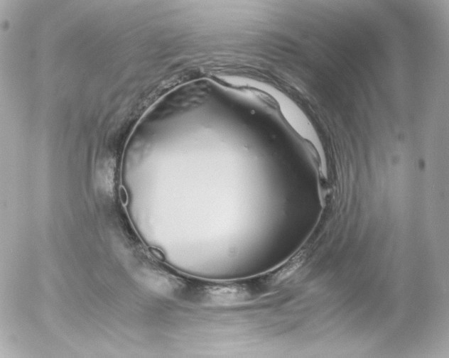 X0000052650315200507221848