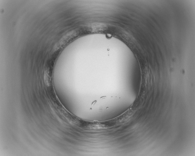 X0000052650316200507221848