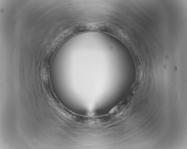 X0000052650317200507221848