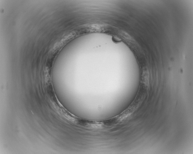 X0000052650318200507221848