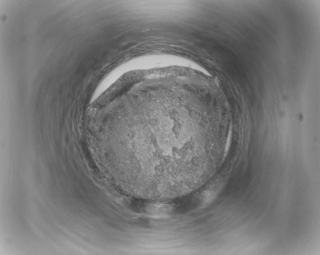 X0000052650319200507221848