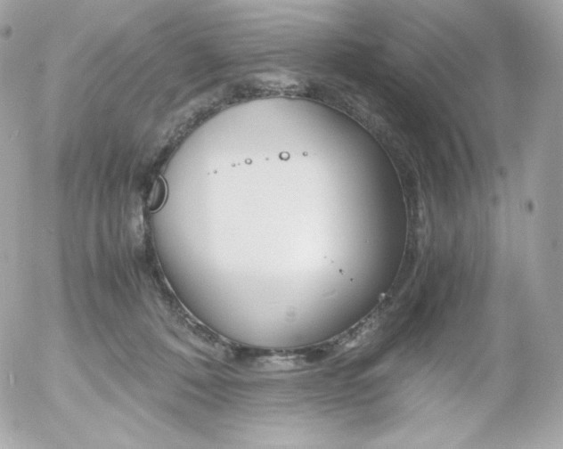 X0000052650320200507221848