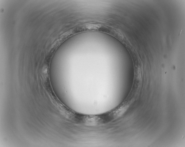 X0000052650321200507221848