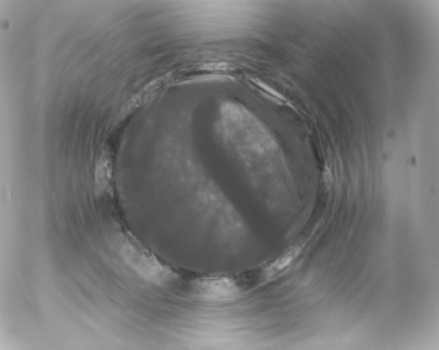 X0000052650322200507221848