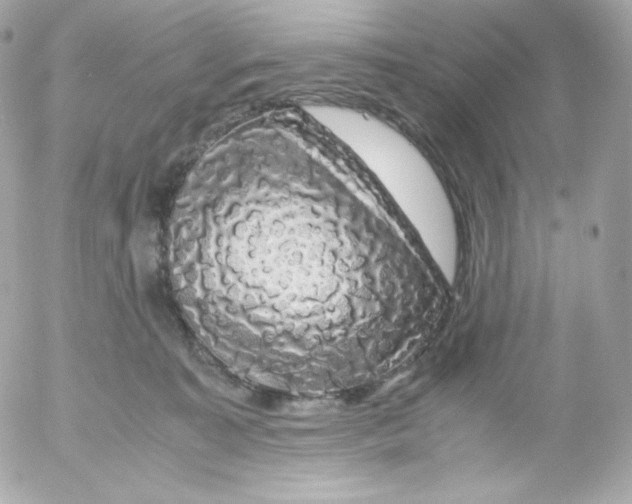 X0000052650323200507221848