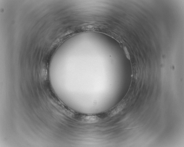 X0000052650324200507221848