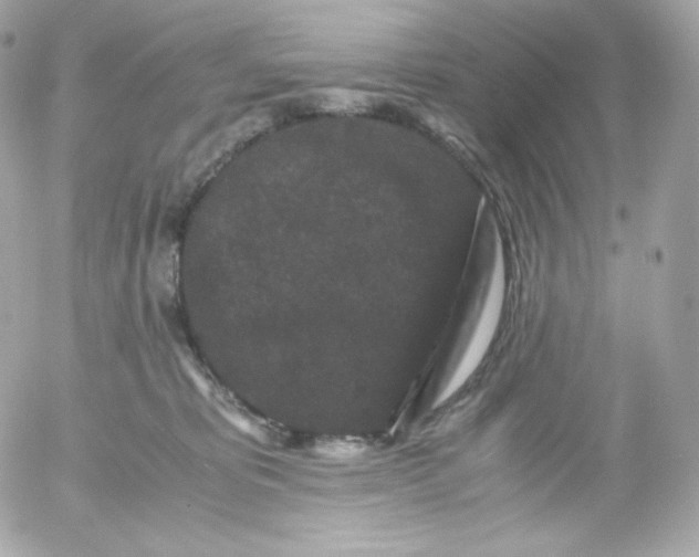 X0000052650325200507221848