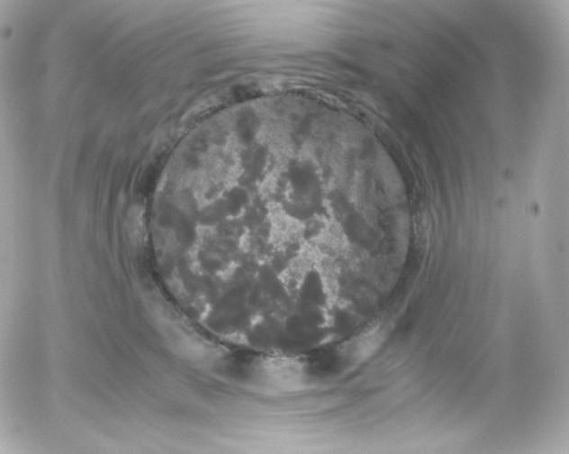 X0000052650327200507221848