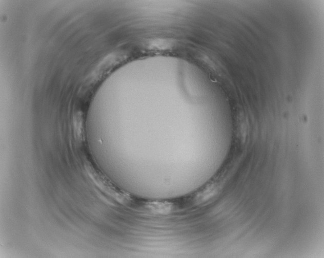 X0000052650328200507221848