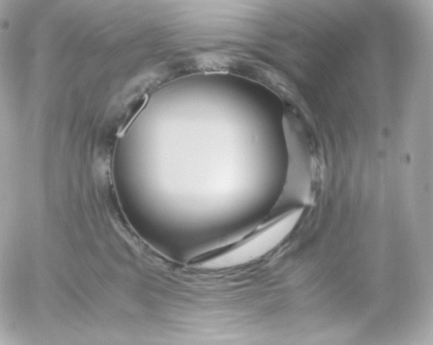 X0000052650329200507221848