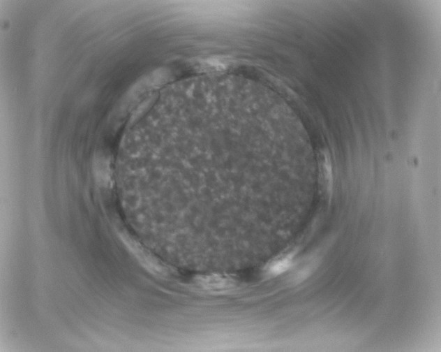 X0000052650331200507221848