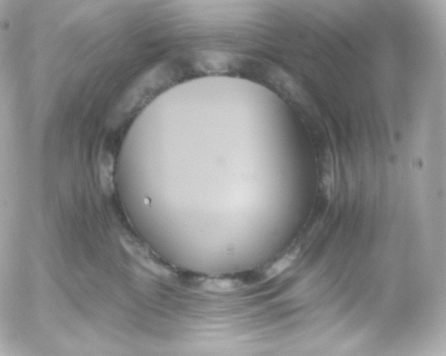 X0000052650332200507221848