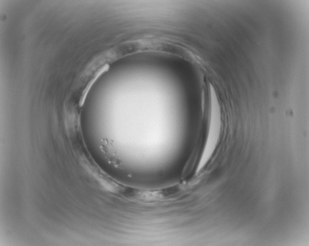 X0000052650333200507221848