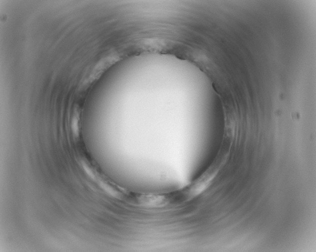 X0000052650334200507221848