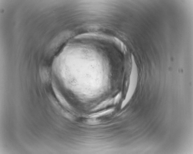 X0000052650335200507221848