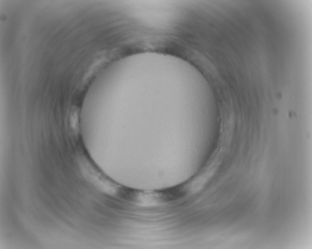 X0000052650336200507221848