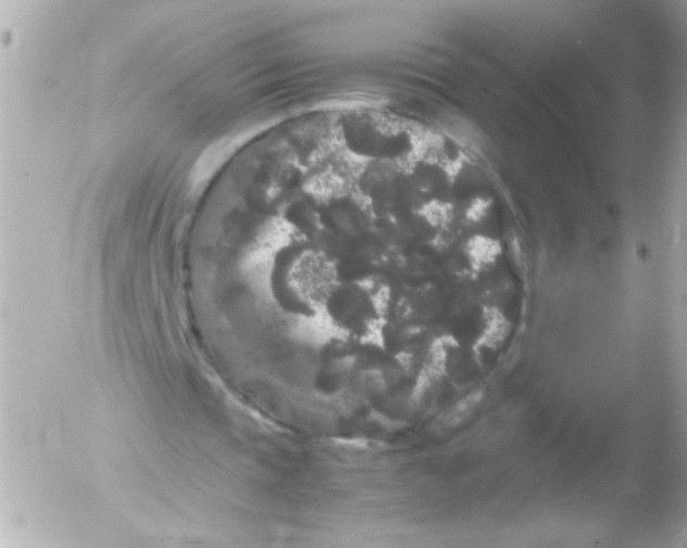 X0000052650337200507221847