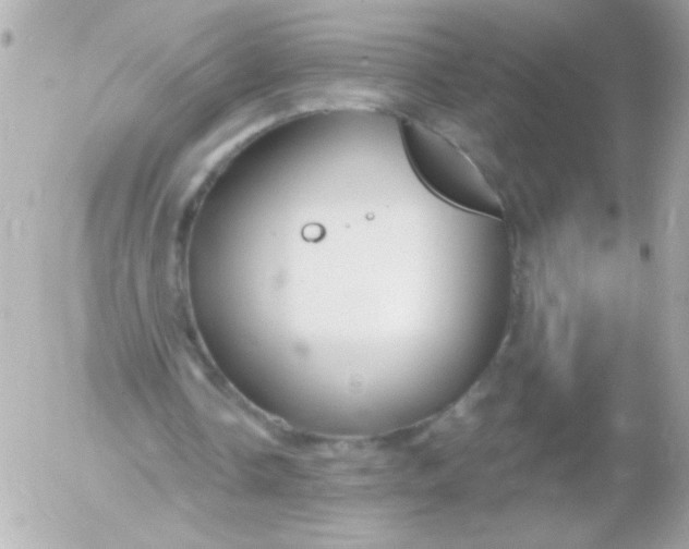 X0000052650338200507221847